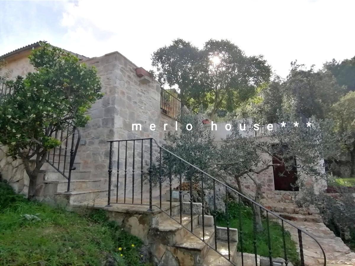 Merlo House Dol Hvar Stari Grad  Eksteriør bilde