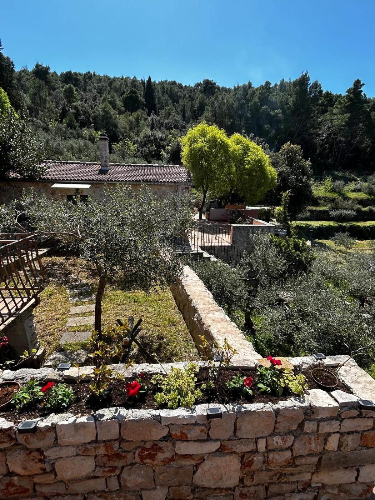 Merlo House Dol Hvar Stari Grad  Eksteriør bilde